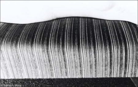 X., liegend, analoge SW-Fotografie, 2003 X., liegend, analoge SW-Fotografie, 2003