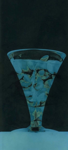 Lieblingsglas7, Fotogramm coloriert, 8x20cm, 2014 Lieblingsglas7, Fotogramm coloriert, 8x20cm, 2014