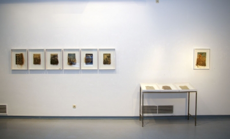 Mirjam Elburn: Serie „Kosmos“ 2010, Installation, 6 Hängekästen, Eisengestell mit 3 Objektkästen