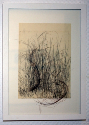 Mirjam Elburn: o.t., 2009, Kohlezeichnung auf  Transparentpapier, Büttenpapier und Menschenhaar, 23 x 14,5 cm
