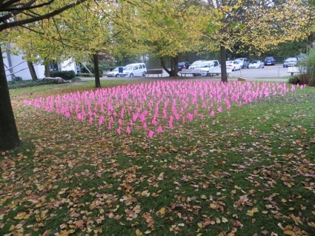 Renate Hahn: Flags, Installation, 900x900x40 cm, 2015 Renate Hahn: Flags, Installation, 900x900x40 cm, 2015