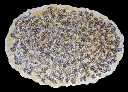 Kristian Kosch: Popcornoid 8, Stoffmalstift auf Baumwolle, 150 x 186 cm, 2015