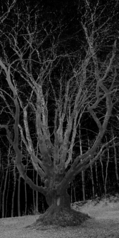 3D Laserscan/3D Rendering, 80 x 40 cm, Druck auf Alu-Dibond, 2021